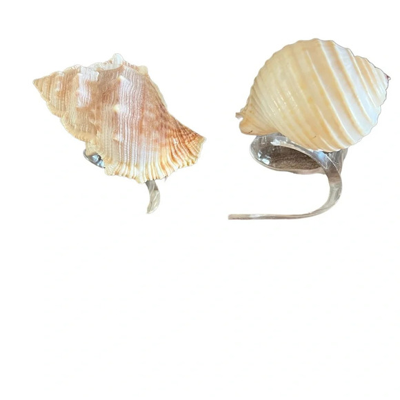 Pair of Lucite Shell Napkin Rings Siesta Key‎ - Picture 1 of 3